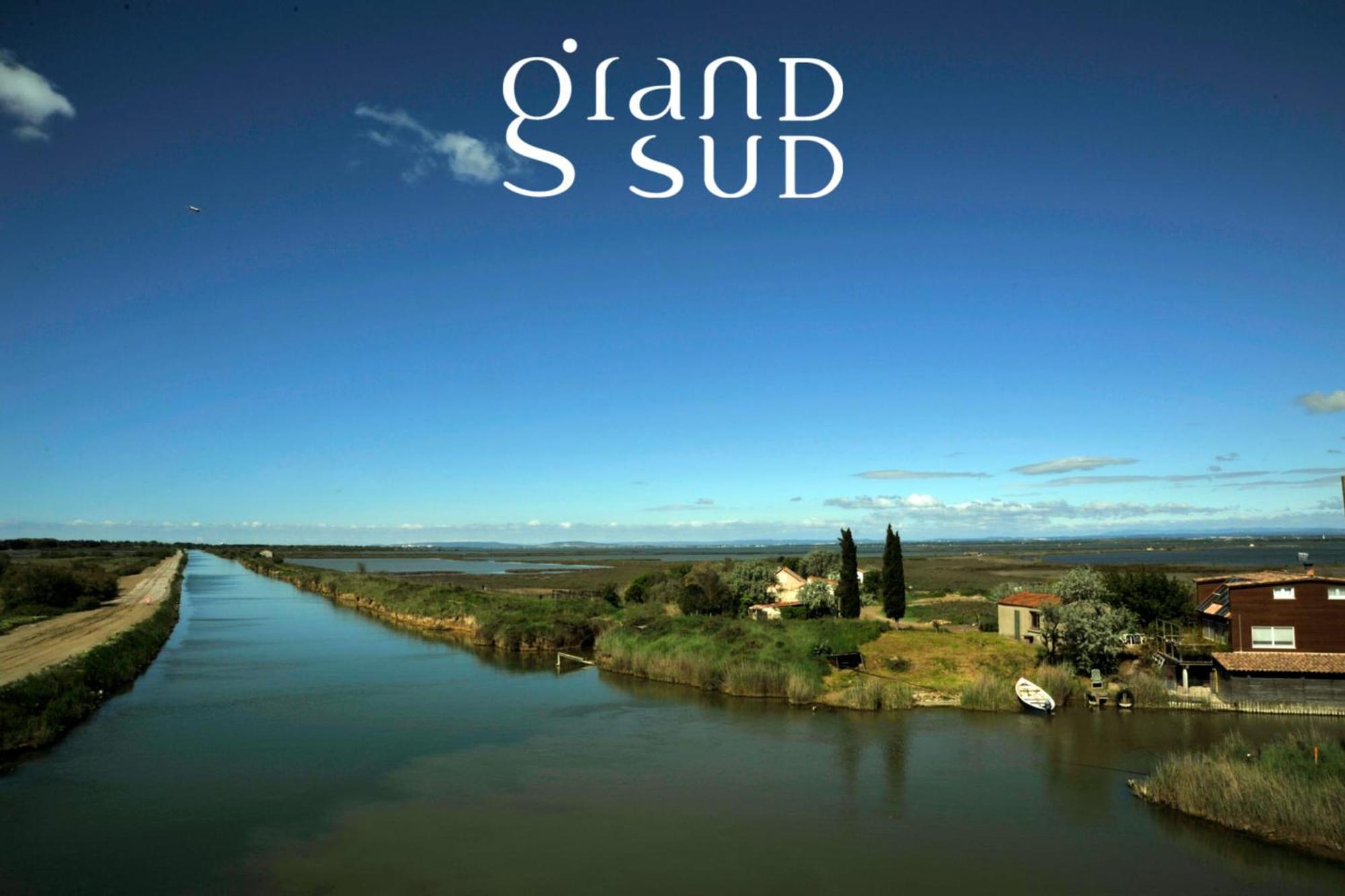 Le Saint Louis - Terrasse Proche De La